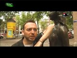 Gente da minha terra na Europa Ep03 - Holanda TvRip