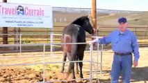 Travel N Corrals ::  Portable Pipe Panel Horse Corrals