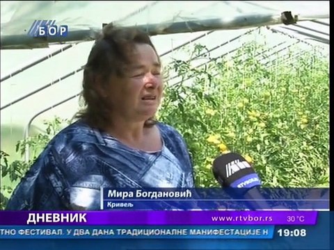 Dnevnik, 25. jul 2015. (RTV Bor)