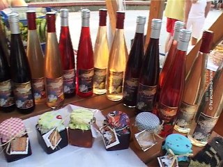 Deseti Etno festival u Kladovu, 25. jul 2015. (RTV Bor)