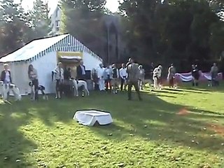 Le Touquet - FCI Eurosighthound 2008 - Le BIS
