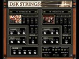 DSK STRINGS BY DSK MUSIC