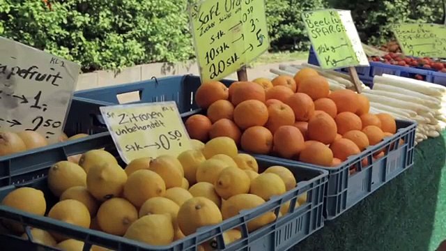 Urban Beekeeping-Bienen in Berlin