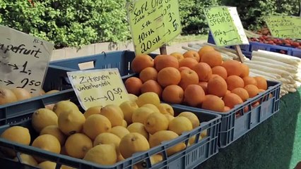 Urban Beekeeping-Bienen in Berlin