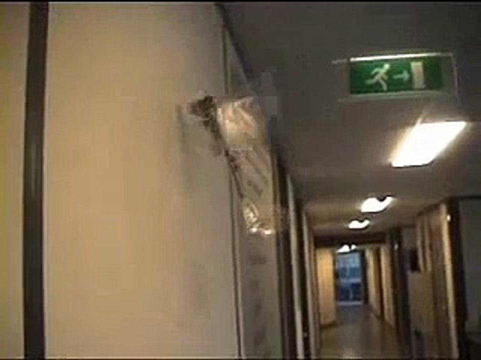 DelFly II on the wall