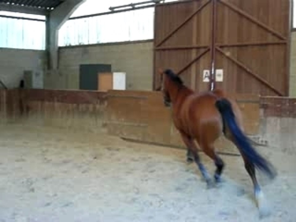 Jisko saut 087