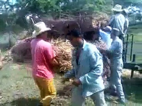 Trilladora artesanal de granos (frijoles, maiz, arroz) Fomento, Cuba