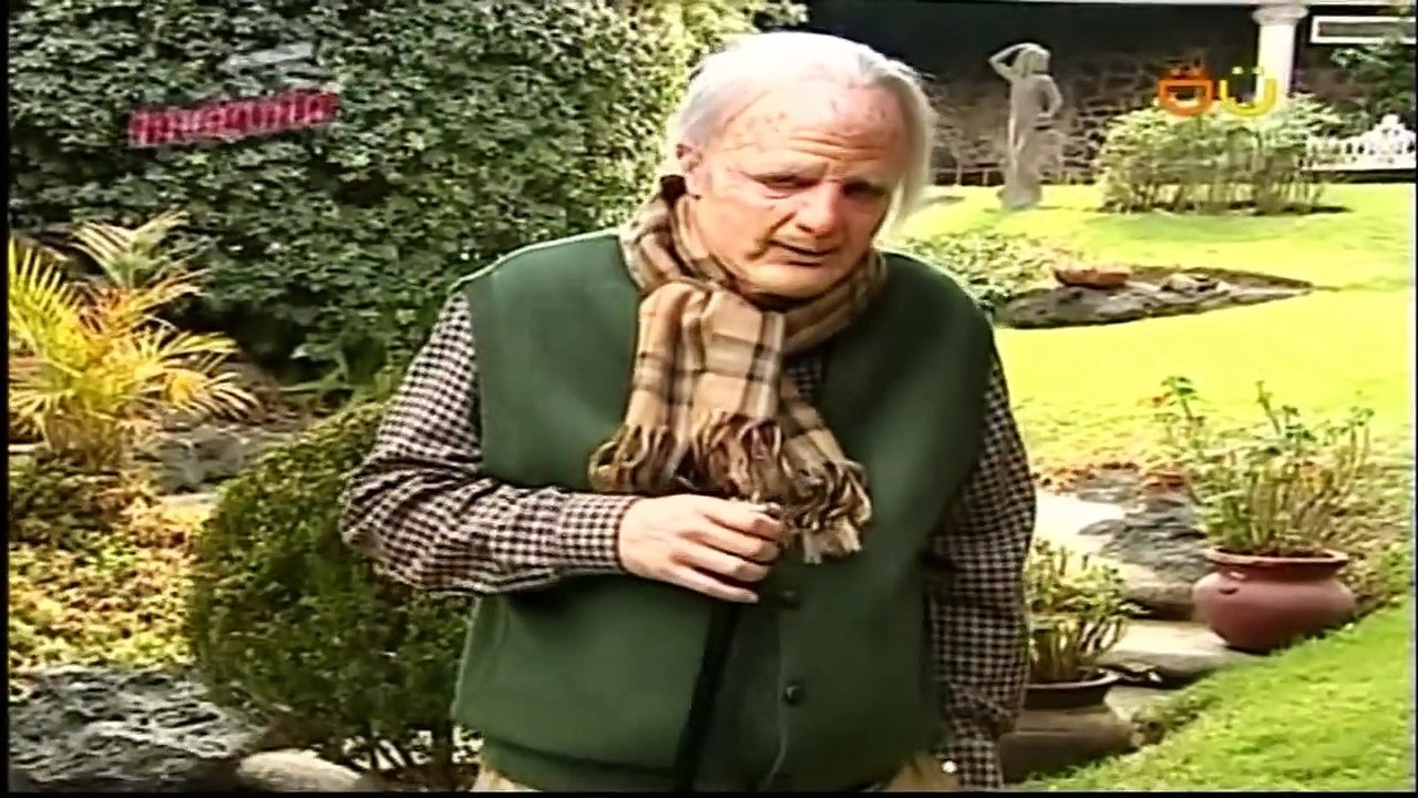 Alguien mate al abuelo Juan Samperio Telenovela