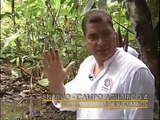 Presidente Rafael Correa inicia la campaña 