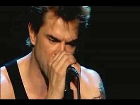 Die toten Hosen - Nur zu Besuch (Live - unplugged).flv