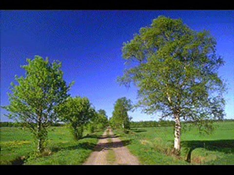 la ferme... des fatals picards