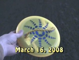 Tony and the Frisbee
