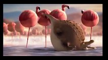 Funny Animals Cartoons - Animal sphere