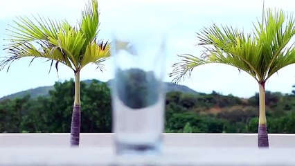 Recette  mojito cubain