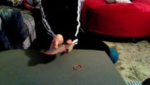 Il trucco magia dell'elastico (  spiegazione)