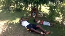 LITTLE JAMAICAN BOY|BITCH SLAP