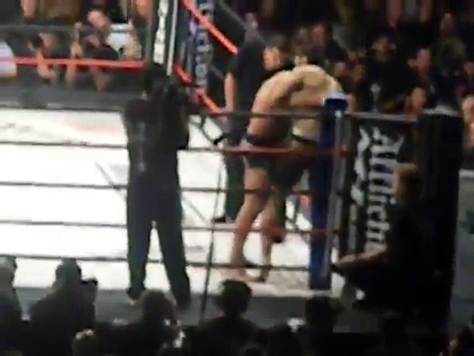 fedor vs arlovski