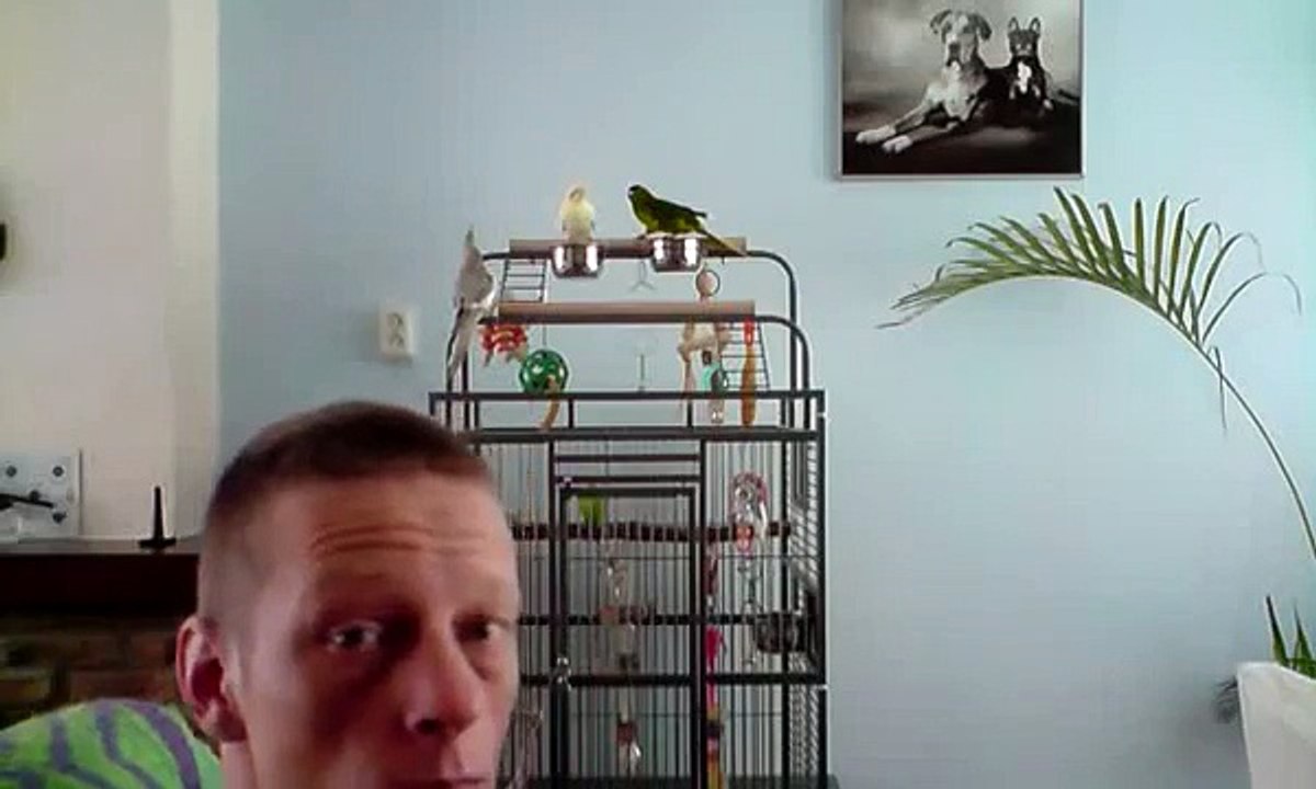1 Kakariki en 2 Valkparkieten los op kooi