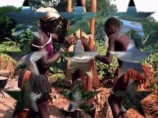 PROJECTO GUINÉ-BISSAU: CONTRIBUTO