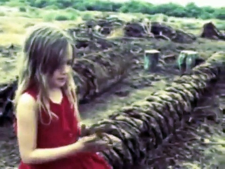 SOKO ::  First Love Never Die