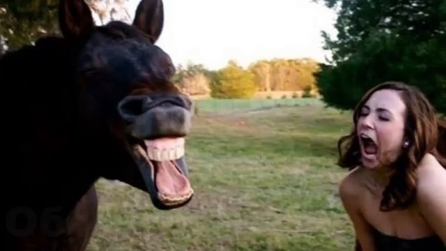 Приколы 2013 Лучшие !!!!! Я РЖАЛ КАК КОНЬ! Часть 1