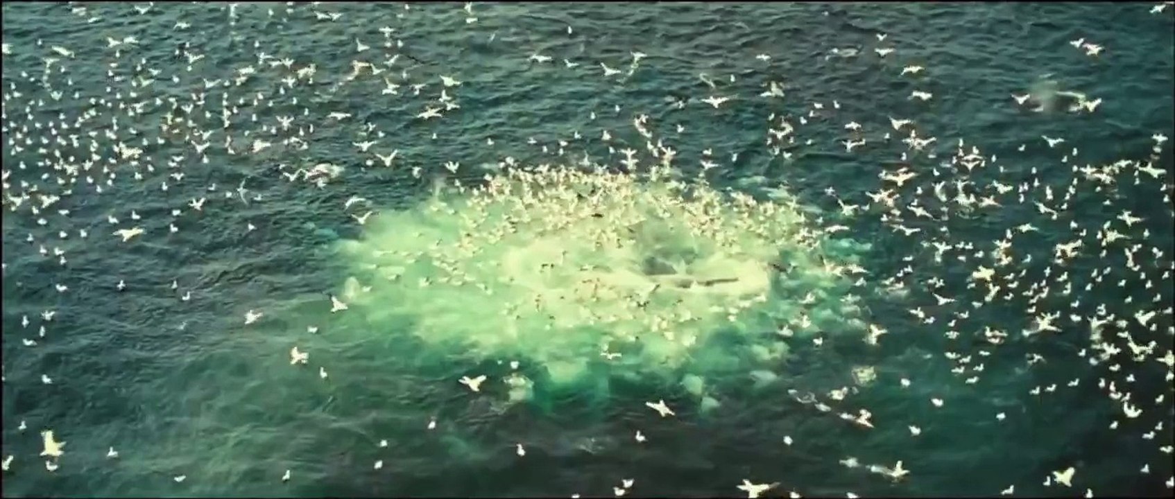 Majestic Oceans - DisneyNature Oceans