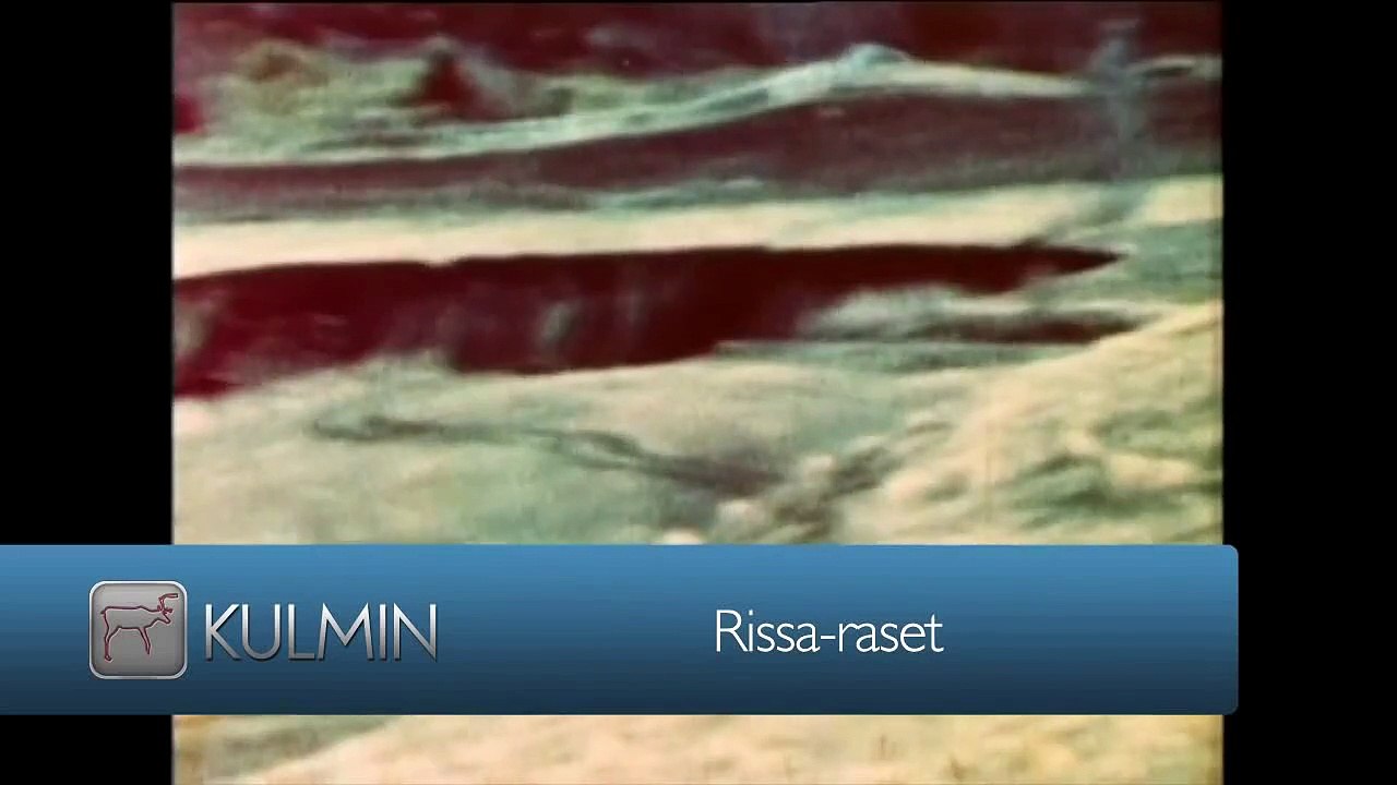 Rissaraset