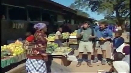 Kratts Creatures 1- Big Five, Little Five