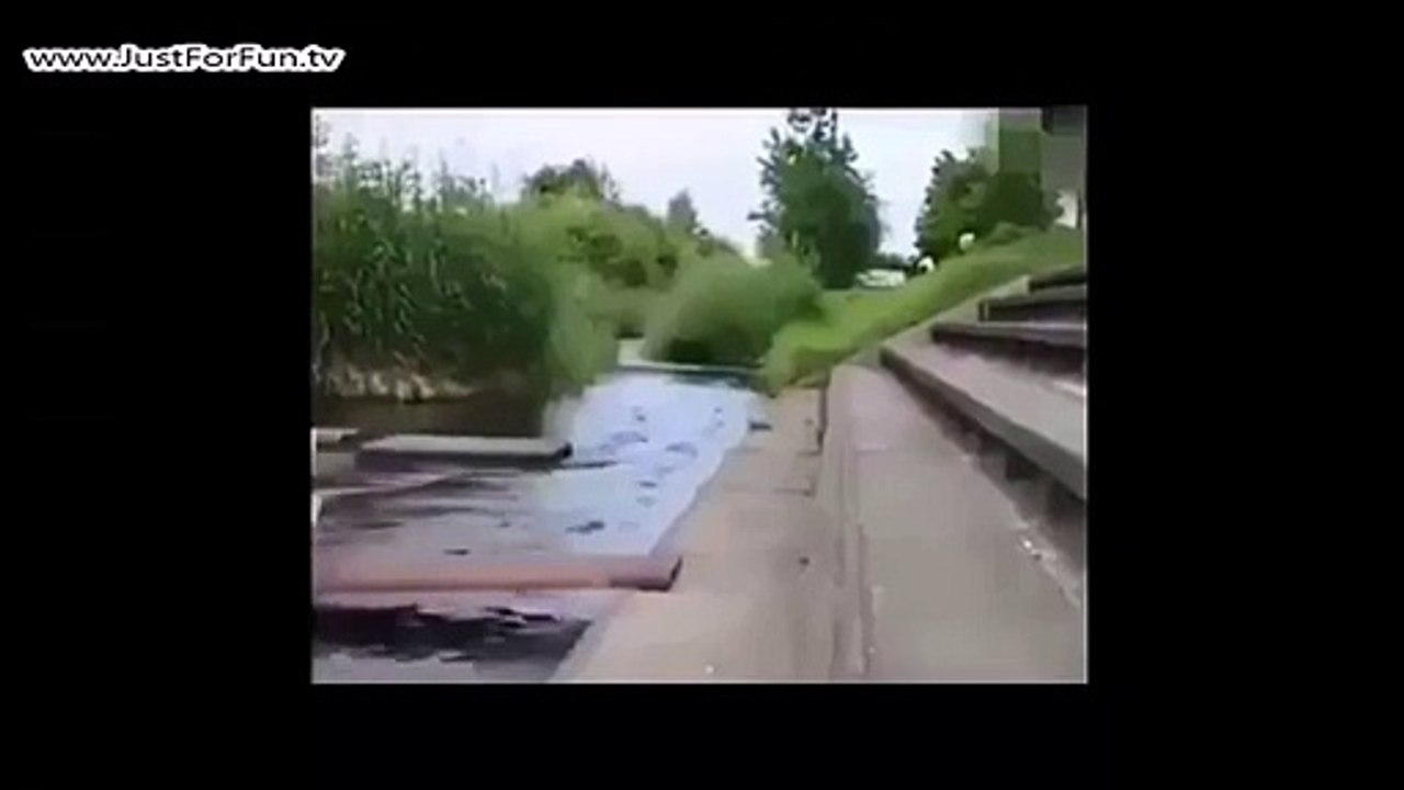 Smart Monkey