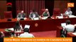 C's: Ley de Consultas, debate en comisión. Comparece Miquel Roca. Carina Mejías 30/07/2013