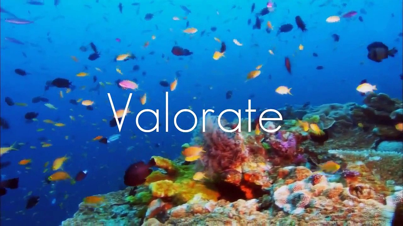 Autoestima   Soy Yo de Virginia Satir Voz Cirino Valencia