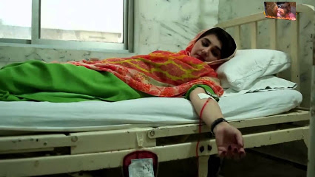 Nazia Iqbal Tapay Khwala Ra Sha Sta Da Meene Dilruba Yam _ Khyber Music