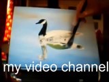 Oil painting demo Swimming Goose visual Art Ettina