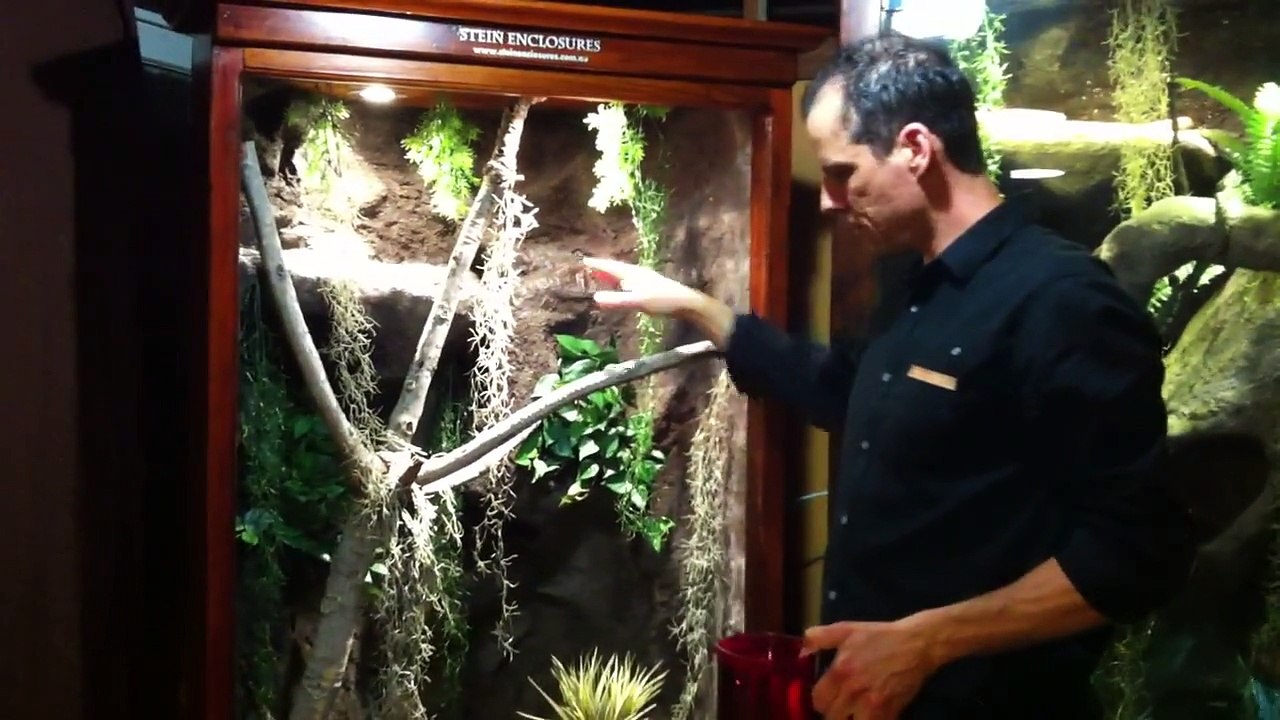 Stein Enclosures Cleaning Pt1