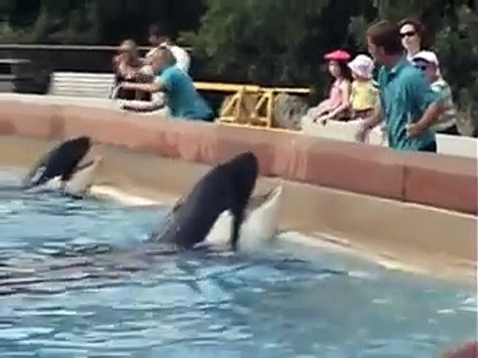 Marineland été 2007