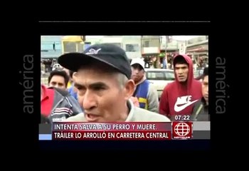 Ate: Indigente murió atropellado por tráiler al intentar salvar a su perro [Video]