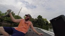 Bass Fishing-Deep Cranking/Flipping & Pitching-Fort Loudon Lake-GoPro