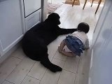 犬と子供　RMOV2713