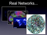 Visual Analytics: Network Structure Beyond Communities - Takashi Nishikawa