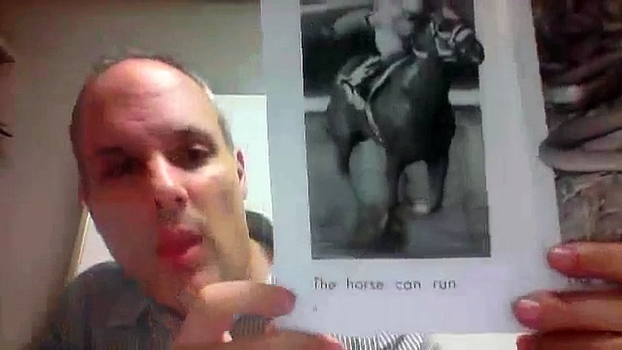 b   animals can move