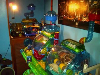 Hamster Mansion Setup Crittertrail and Habitrail