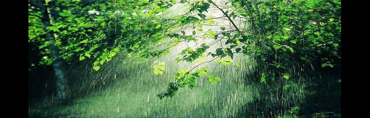 DANZA INVISIBLE  "SABOR DE AMOR"