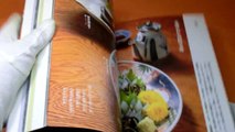 Sashimi Dish Up Japanese cuisine book,japan,sushi (0610)