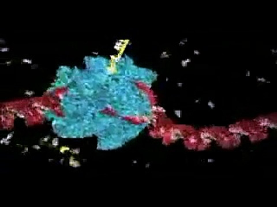 Transcripcion y Traduccion