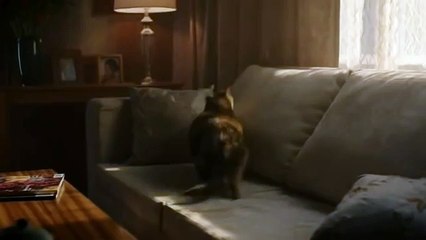 Darts Attack - Funny Cheetos TV Commercial