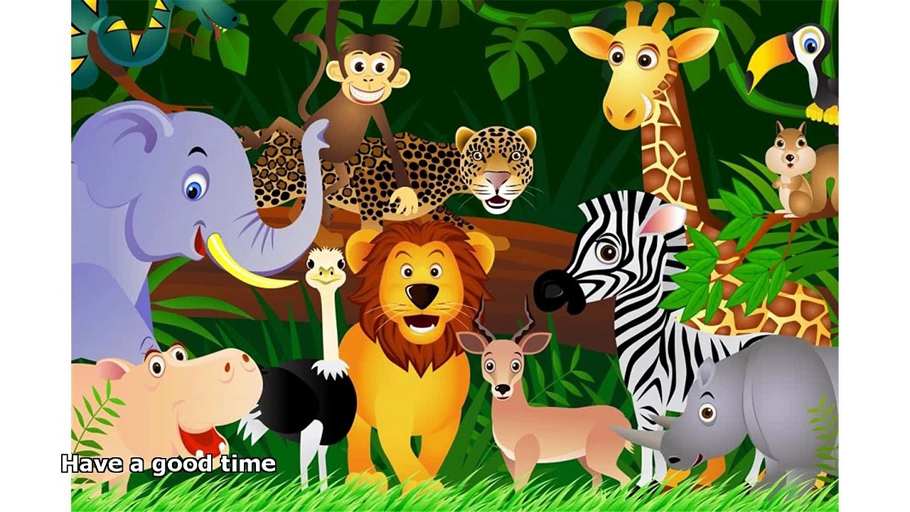 jungle animals