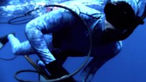 Spearfishing Yellowfin Tuna - Sicklefin Dreaming HD