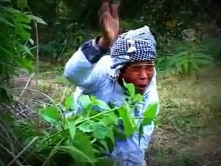 Video lucu dan menghibur