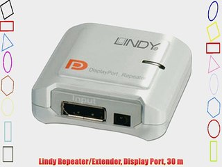 Lindy Repeater/Extender Display Port 30?m