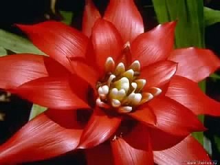 موسيقى تركية حزينه